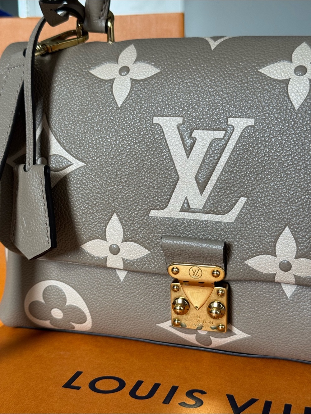 Louis Vuitton Madeline MM bicolor monogram with Gold Hardware - Picture 2 of 14